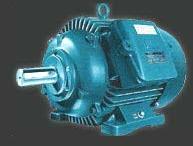 Standard 3PH TEFC Motor