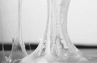 Table Gum, Shelf Life : 1year