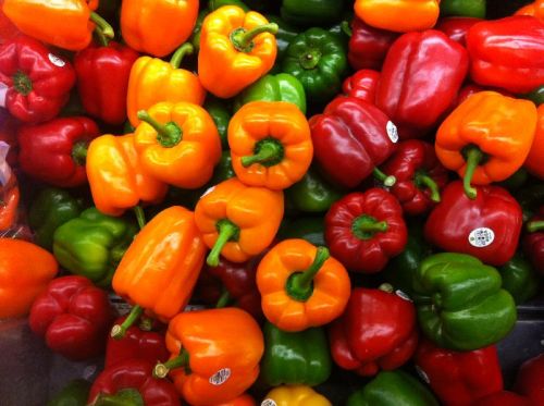 Fresh Capsicum, Packaging Size : 5 Kg, 10 Kg