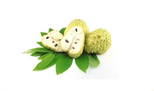 Fresh Custard Apple, Shape : Heart-shaped Or Oval-shaped