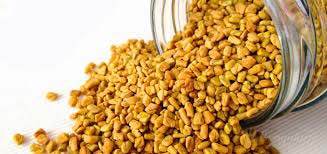 Fenugreek Seeds