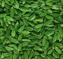Green cardamom, Moisture Content : 10-12% Max