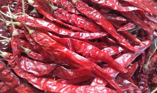 Dried Red Chilli