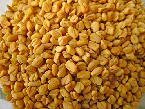 Fenugreek Seeds