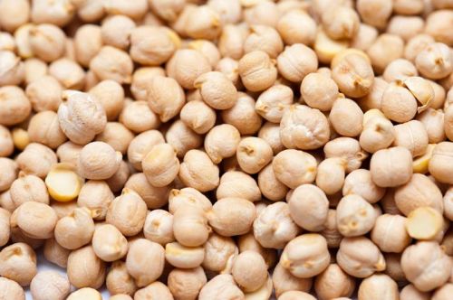 White Chickpeas