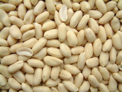 Whole Blanched Groundnuts