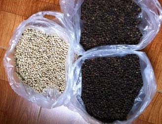 Dried White Pepper, Grade : A
