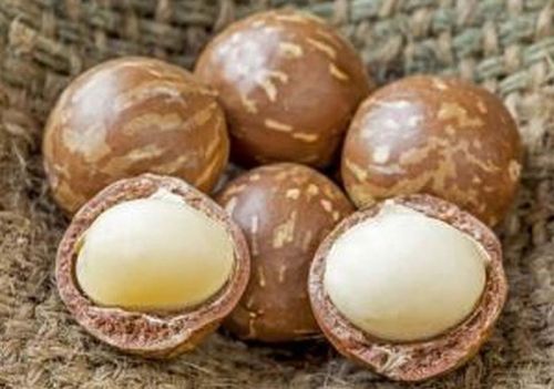 Raw and Roasted Macadamia Nuts