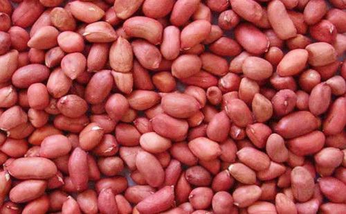 Red Skin Peanuts Kernel for food