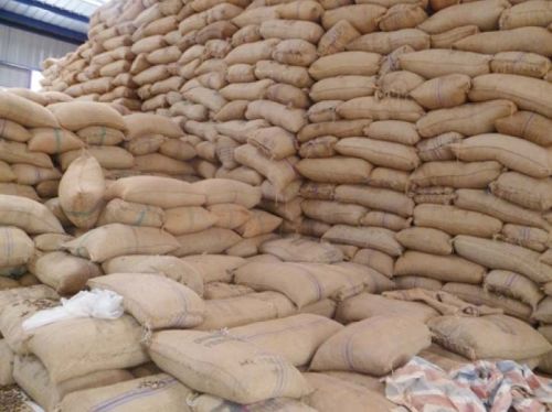 Raw Cashew Nuts for Food