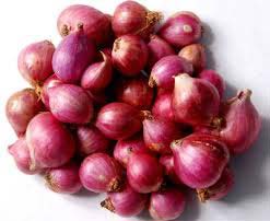 Fresh Red Onion