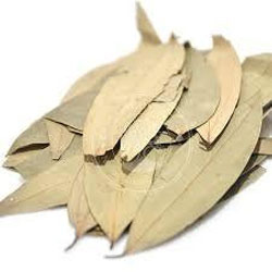 Dried Bay Leaves, Packaging Type : Polybag