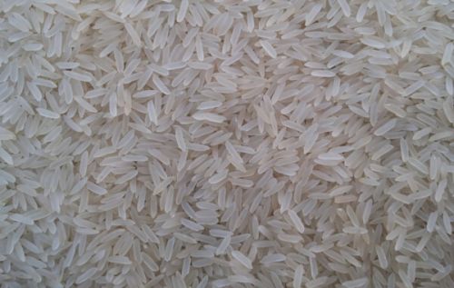 Normal Smooth Pr14 Sella Cream Rice