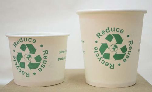 Disposable Eco Friendly Paper Cups