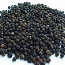 Black Pepper Seeds