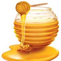 Natural honey, Packaging Type : Bulk Drums / 1kg PET Jars
