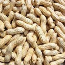 Shelled Peanuts, Packaging Size : 25-50kg