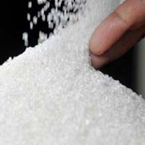 White sugar, Shelf Life : 1year