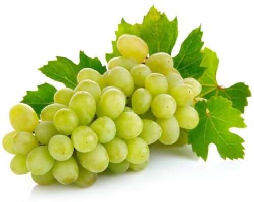 Fresh Grapes