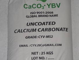 Uncoated Calcium Carbonate Powder