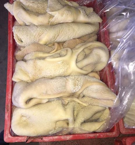 Frozen Buffalo Tripe