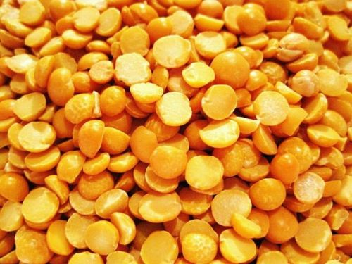 Organic Yellow Peas Dal, For Cooking, Feature : Easy To Cook, Good In Taste, Healthy To Eat