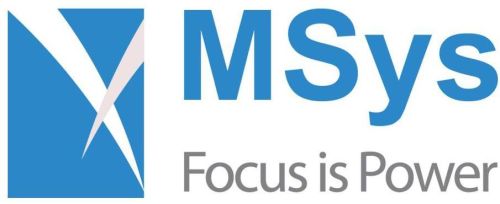 Custom Software Development Services