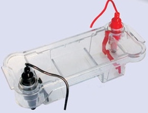 Electrophoresis Horizontal System