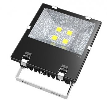 LED Flood Light