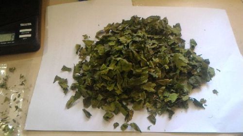 Mulberry Leaves Tea Cut (TBC)