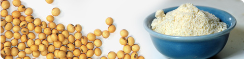 Defatted Soy Flour