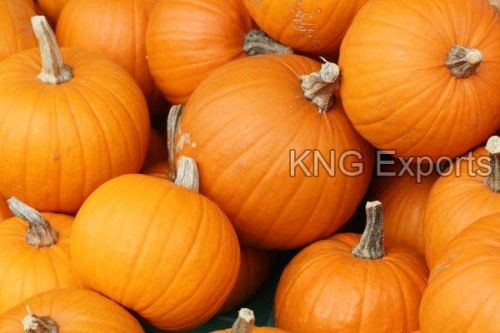 Organic Fresh Pumpkin, Color : Yellow