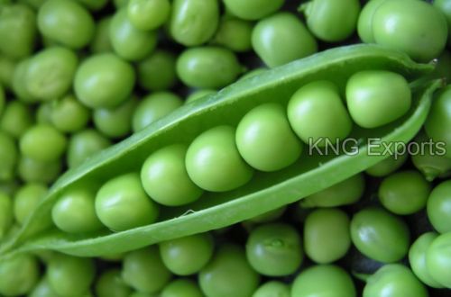 Fresh Green Peas, For Cooking