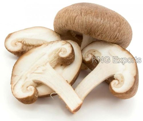 Organic Fresh Mushroom, For Cooking, Packaging Type : Plastic Bag