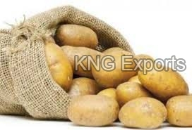 KNG EXPORTS Potato