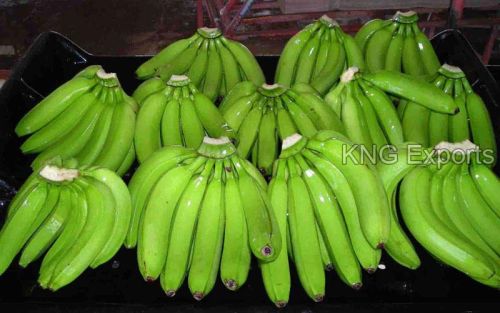 Organic Fresh Raw Banana, Shelf Life : 1week