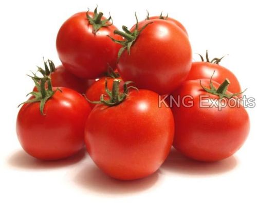 Fresh Tomato, Shelf Life : 10-15days