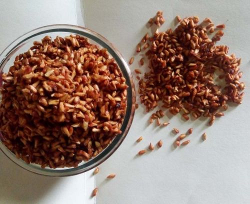 Dry Pomegranate Seeds