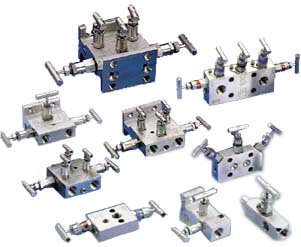 HI TECH SS 304 / SS 316 Manifold Valves