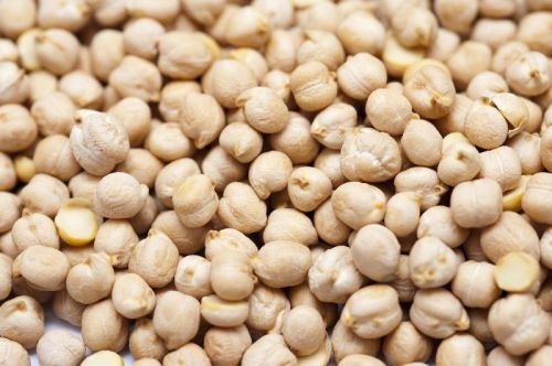White chickpeas, Shelf Life : 1 Year
