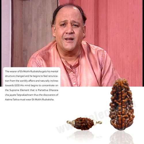 1 Mukhi Rudraksha