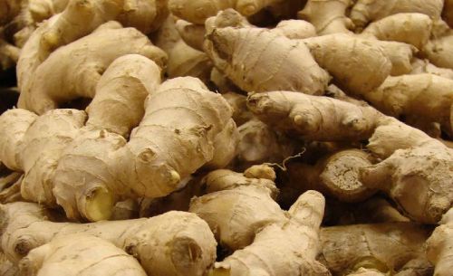 Fresh ginger, Cultivation Type :Organic