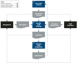 Risk Based Internal Auditing Service