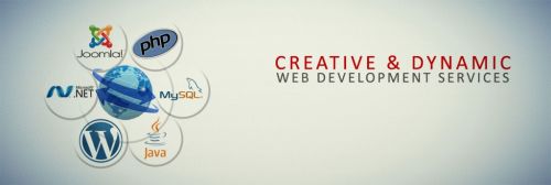 Dynamic Website Design Delhi NCR