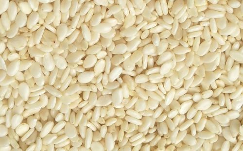 Hulled Sesame Seed, Packaging Type : 25-50 Kg PP Bag