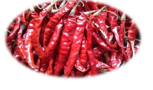 Dried Red Chilli