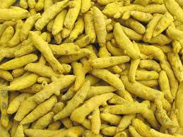 Turmeric finger, Drying Process : Sun Dry