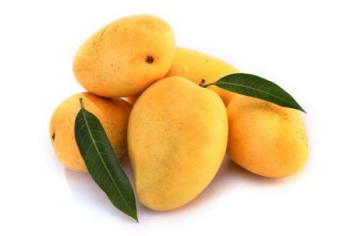 Fresh Mango,fresh Mango