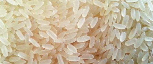 IR 8 Parboiled Long Rice, Packaging Type : Jute Bags, Plastic Bags