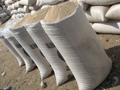 Organic sesame seeds, Purity : 99.3 to 99.5 %